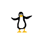 pinguinn
